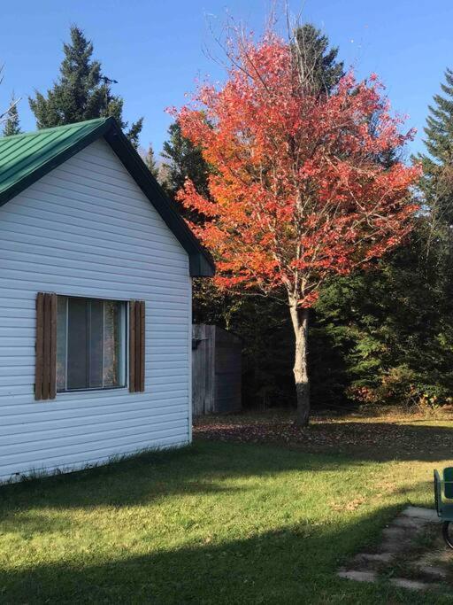 Le Jazz- Chalet Rustique/Chic Avec Spa Notre-Dame-Des-Bois Bagian luar foto