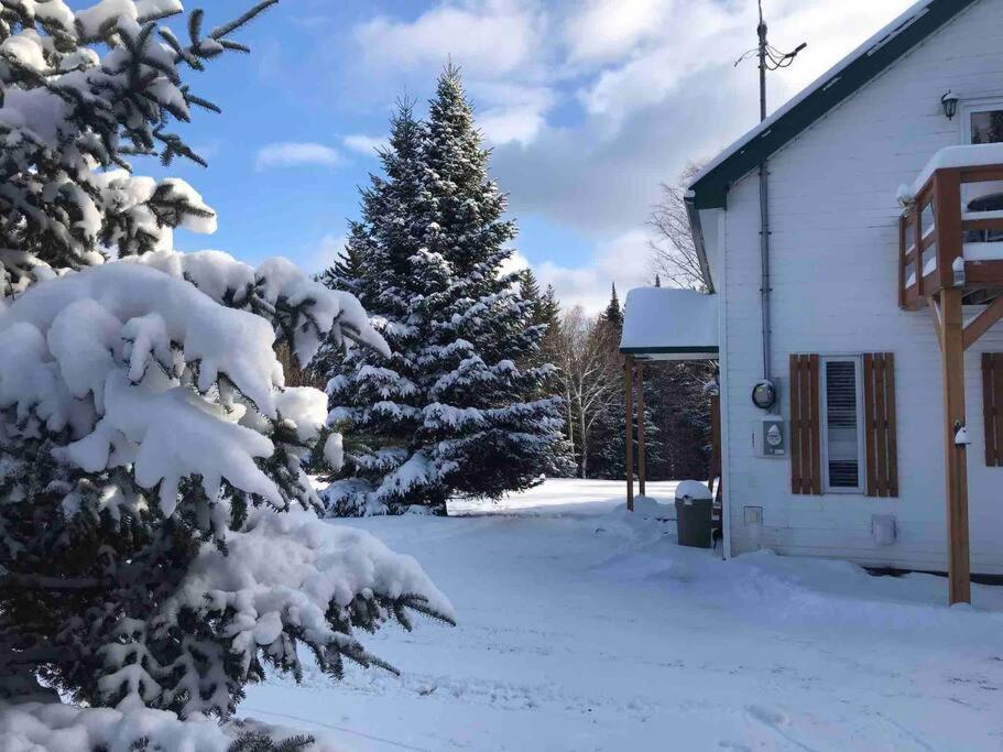 Le Jazz- Chalet Rustique/Chic Avec Spa Notre-Dame-Des-Bois Bagian luar foto